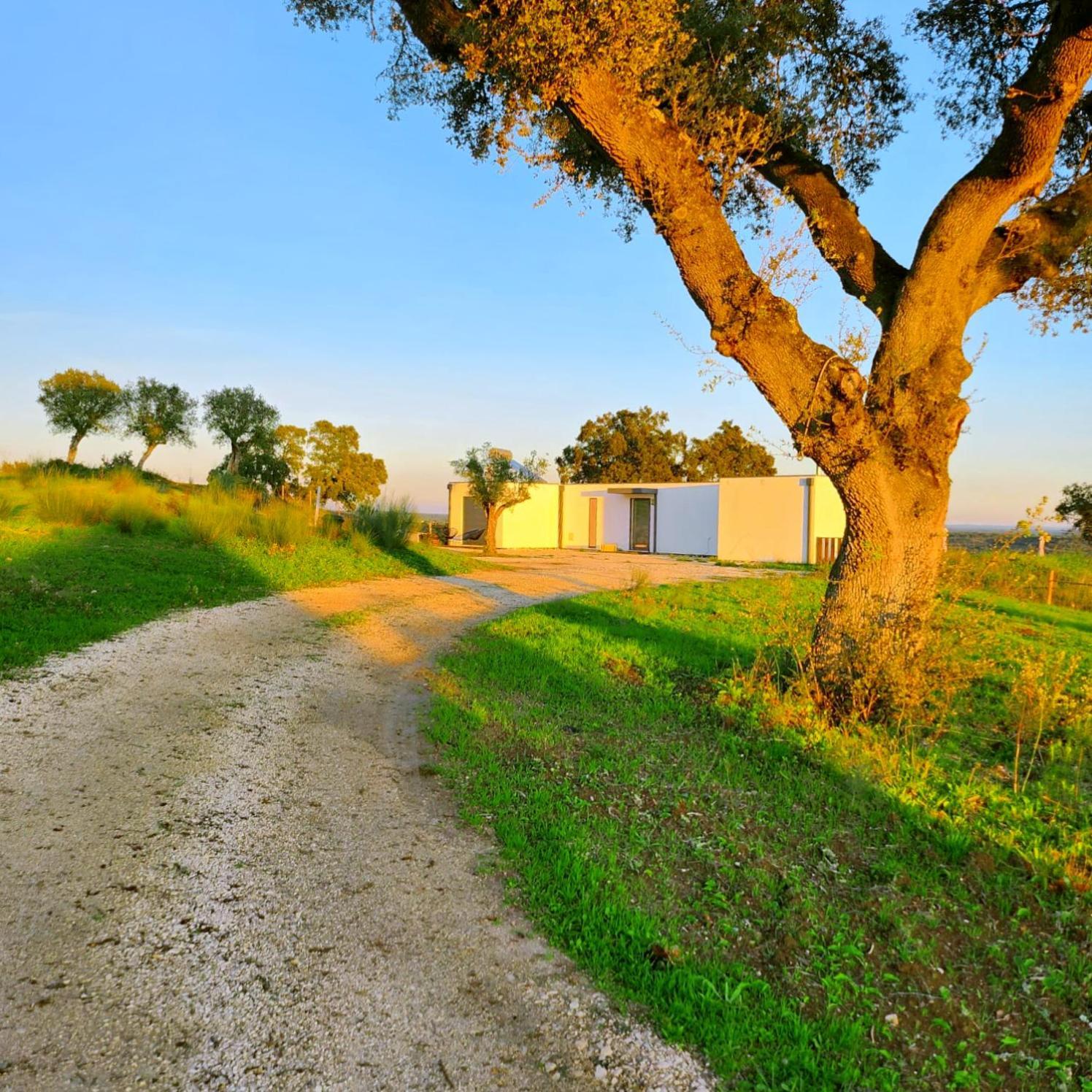 Monte Da Fifas Alentejo, Montargil Villa Kültér fotó