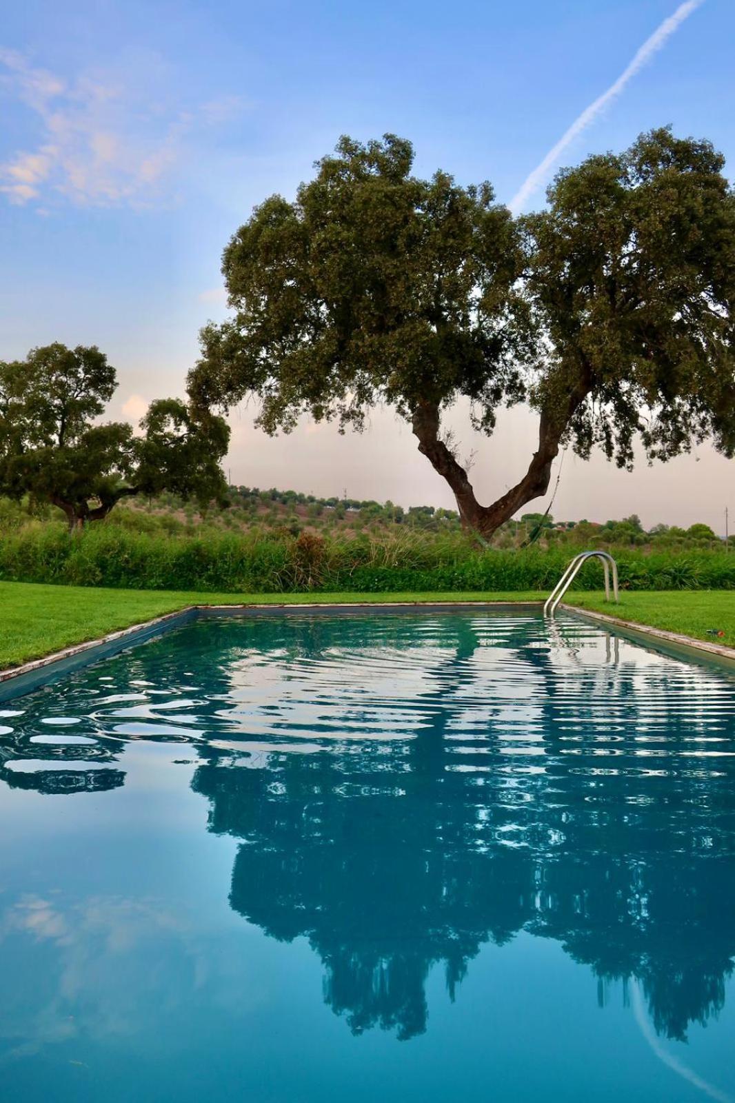 Monte Da Fifas Alentejo, Montargil Villa Kültér fotó